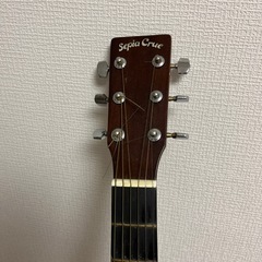 【おまけ付き】入門用アコースティックギターの画像