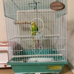 新品　未使用　鳥かご　フォレストの画像