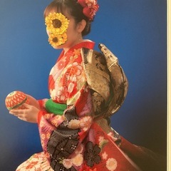 振袖・帯・帯揚げ・帯締め・長襦袢5点セットの画像