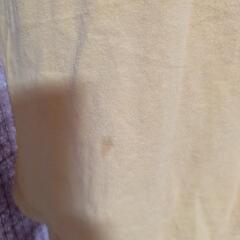 CUBE  SUGAR  セサミストリート　ヴィンテージTシャツ M      A034の画像