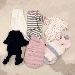 【決定】犬服6点の画像