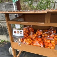 小原紅早生みかん農家直営販売所