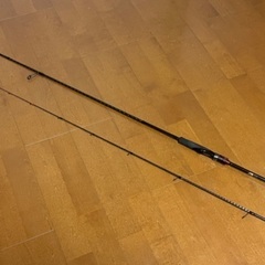 セフィアBB マメイカエギングに