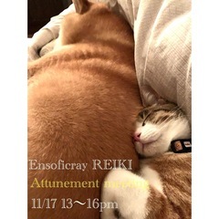 【Ensoficray REIKI💫 Attunement meeting】の画像