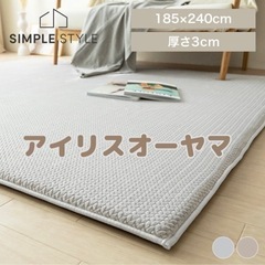 アイリスオーヤマ ラグ カーペット 3畳　185×240  