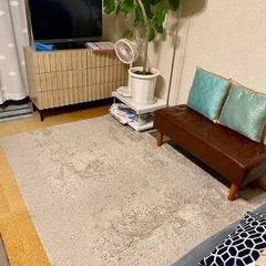 ニトリベージュラグ160cm*230cm