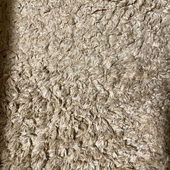 ニトリベージュラグ160cm*230cmの画像