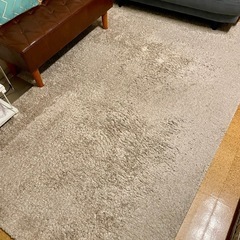 ニトリベージュラグ160cm*230cmの画像