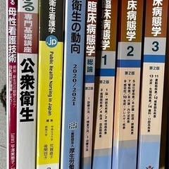看護　看護学生　公衆衛生　病気がみえる　臨床病態学の画像