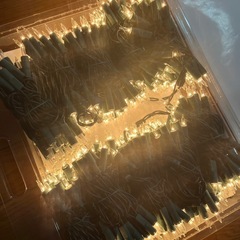 ガーデンイルミネーション　500球　新品の画像