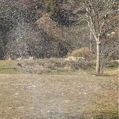 RYOBI 水中汚水ポンプの画像