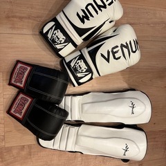 VENUM16ozグローブ