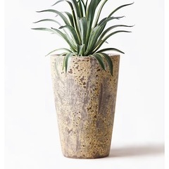 8号鉢　植木鉢　カバー