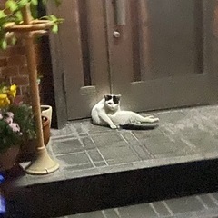 白黒