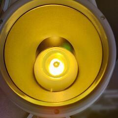 バイオプトロン2 　美顔　美肌　美容　リラクゼーションの画像