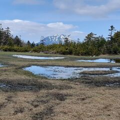 11月25日　栃木百名山　安戸山　登りませんか？