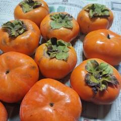 キズ柿１袋【１３個入り】の画像