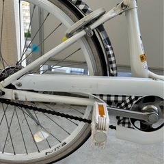 ♦️オートライト♦️子供用自転車　サカモトテクノ　SPICEUP スパイスアップ　22インチの画像