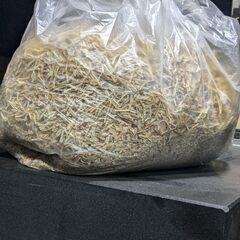 訳あり）木くず約1000g