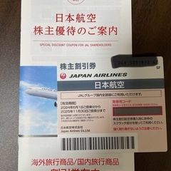 JAL 日本航空 株主優待券