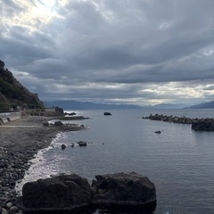 残り少!!【今が旬!】カリン1kgの画像