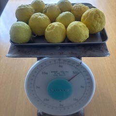 残り少!!【完熟!】柚子1kgの画像