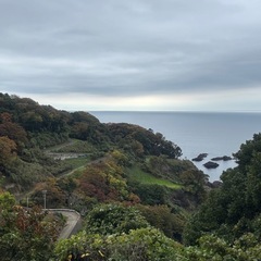 残り少!!【完熟!】柚子1kgの画像