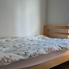 ベット
