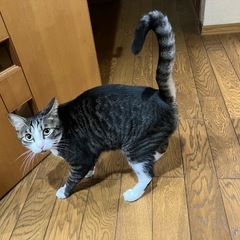 ご飯友・飲み友
