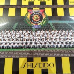 【断捨離記念】阪神優勝！2003 下敷き＆クリアバックの画像