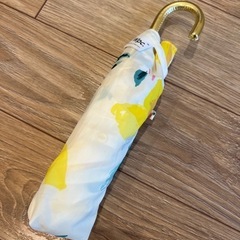 折り畳み傘の画像