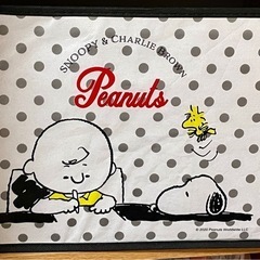 スヌーピ収納ケース3つセットの画像