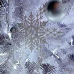  大人スノ担⛄️と仲良くなりたいです😊