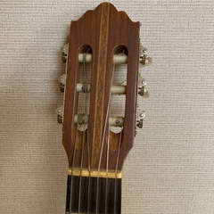 🎼🎸クラシックギター🎸🎵の画像