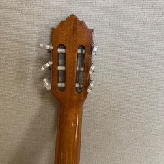 🎼🎸クラシックギター🎸🎵の画像