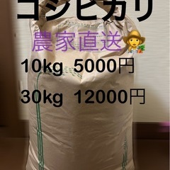 鳥取県産Ｒ6年コシヒカリ30kg  ③