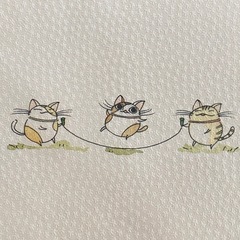 新品 未使用 猫舎道楽堂本舗 ポストカード ２枚セット ネコの画像
