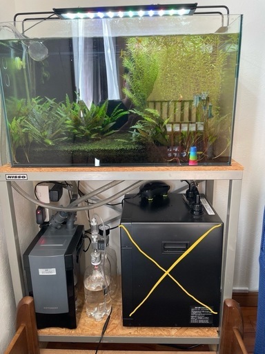 60cm ガラス水槽セット\n