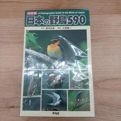 ★ジモティ割あり★日本の野鳥590　高さ(H)--× 幅(W)-...