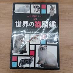 ★ジモティ割あり★世界の猫図解　高さ(H)--× 幅(W)--×...
