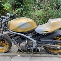 バリオス　ストファイ仕様！の画像