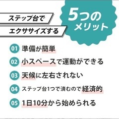 踏み台昇降 ステップ台 トレーニング 有酸素運動 室内 エクササイズ ステップ 踏み台 昇降 運動 2〜4段階調整 高さ調整 エアロビクスステップ エアロビクス ステップ スローステップ ステッパー 昇降運動 ダイエット 筋トレ器具の画像
