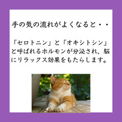 「不調スッキリ！セルフハンドかっさ講座」の画像