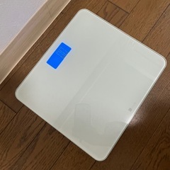 【決定済み】
