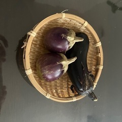 ハンドメイド、畑で野菜を作っている方、SNS得意な方募集 - 名古屋市