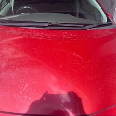 30プリウス前期の画像