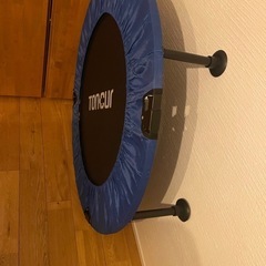 【最終値下げ】室内用トランポリン