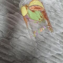 昭和レトロフルーツ柄グラスの画像