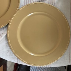 アメリカで購入　アンダープレート2枚の画像