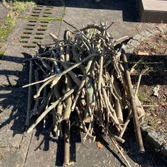 切った　木　あげますの画像